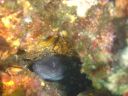 DSC00298.jpg
