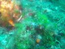 DSC00300.jpg