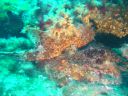 DSC00304.jpg