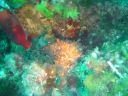 DSC00308.jpg