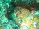 DSC00310.jpg