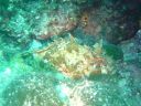 DSC00311.jpg