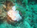 DSC00315.jpg