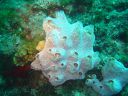 DSC00316.jpg