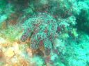 DSC00320.jpg
