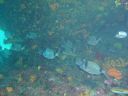 DSC00323.jpg