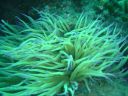DSC00343.jpg