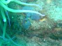 DSC00344.jpg