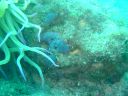 DSC00345.jpg