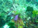 DSC00347.jpg