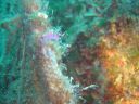 DSC00361.jpg