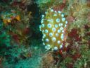 DSC00364.jpg