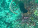DSC00367.jpg