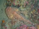 DSC00375.jpg