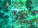 DSC00377.jpg