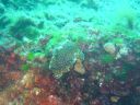 DSC00380.jpg