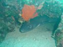 DSC00381.jpg