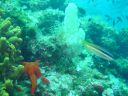 DSC00384.jpg
