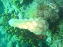 DSC00385.jpg