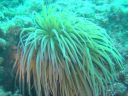 DSC00388.jpg