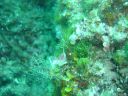 DSC00389.jpg