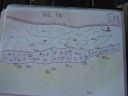 DSC00402.jpg