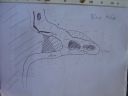 DSC00420.jpg