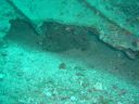 DSC00431.jpg