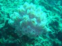 DSC00435.jpg