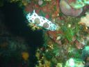 DSC00436.jpg