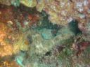 DSC00438.jpg