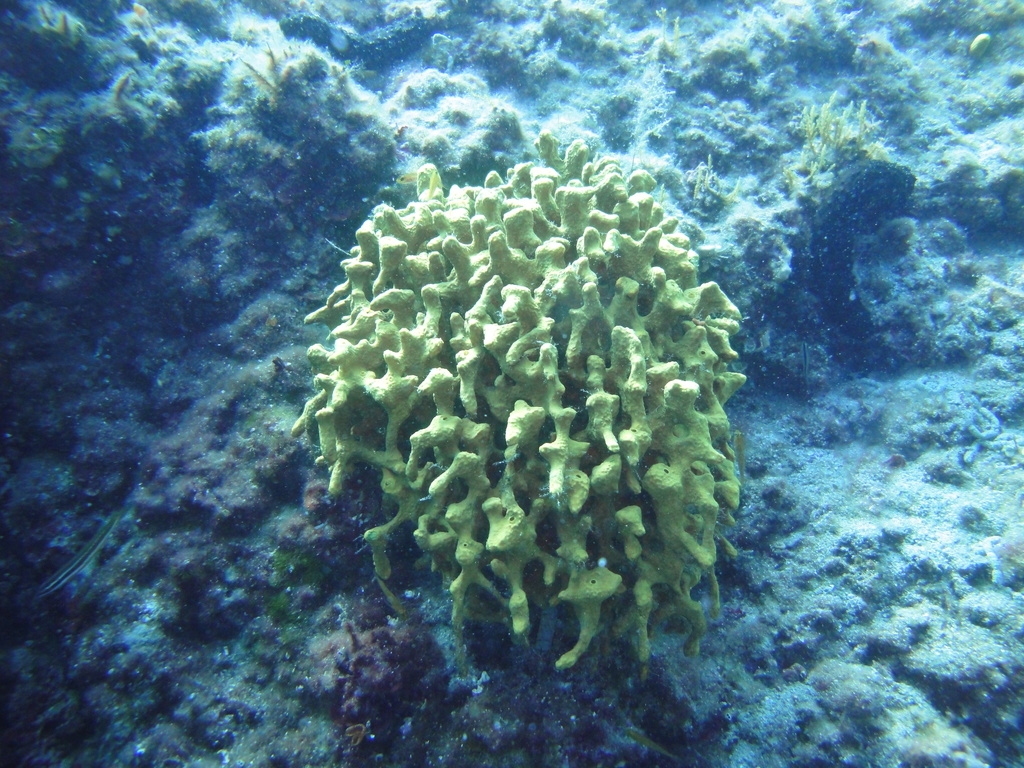 DSC00012.JPG