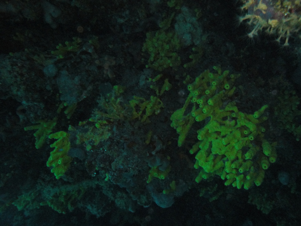 DSC00065.JPG