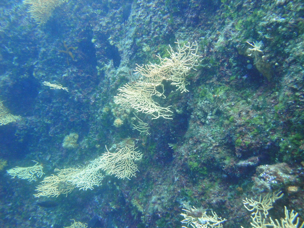 DSC00073.JPG