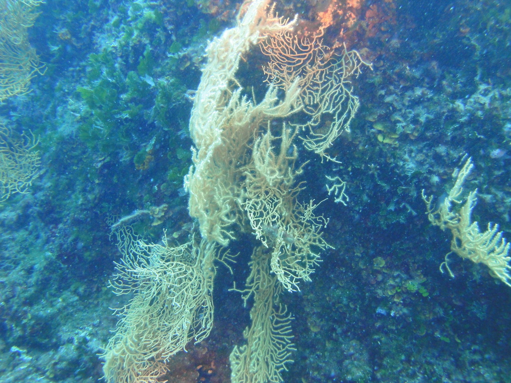 DSC00079.JPG