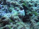 DSC00007.JPG