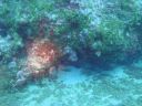 DSC00013.JPG
