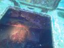 DSC00028.JPG