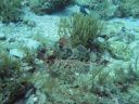 DSC00040.JPG