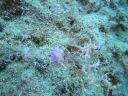 DSC00055.JPG