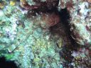 DSC00080.JPG