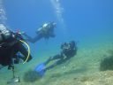 Dateiname=DSC00114.JPG
Dateigröße=322KB
Abmessungen: 1024x768
hinzugefügt am: 05. August 2014 DSC00114.JPG