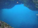 DSC00146.JPG