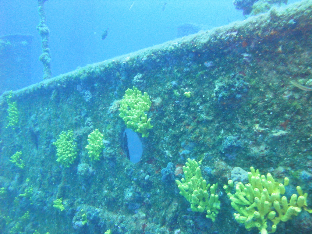 DSC00051.JPG