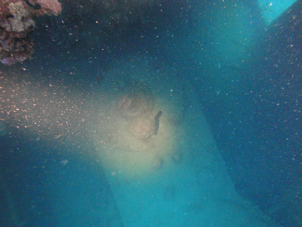 DSC00068.JPG
