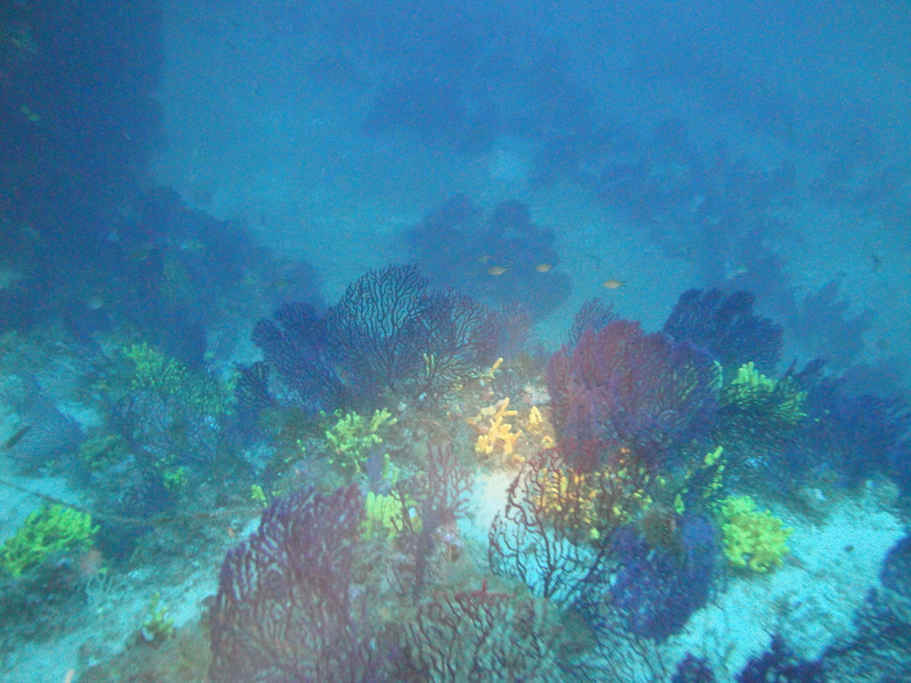 DSC00126.JPG