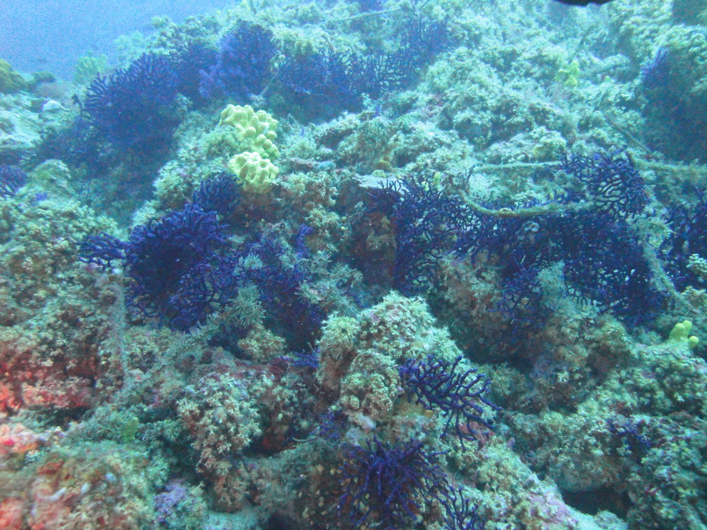 DSC00134.JPG