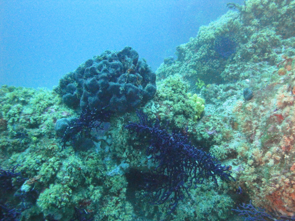 DSC00135.JPG