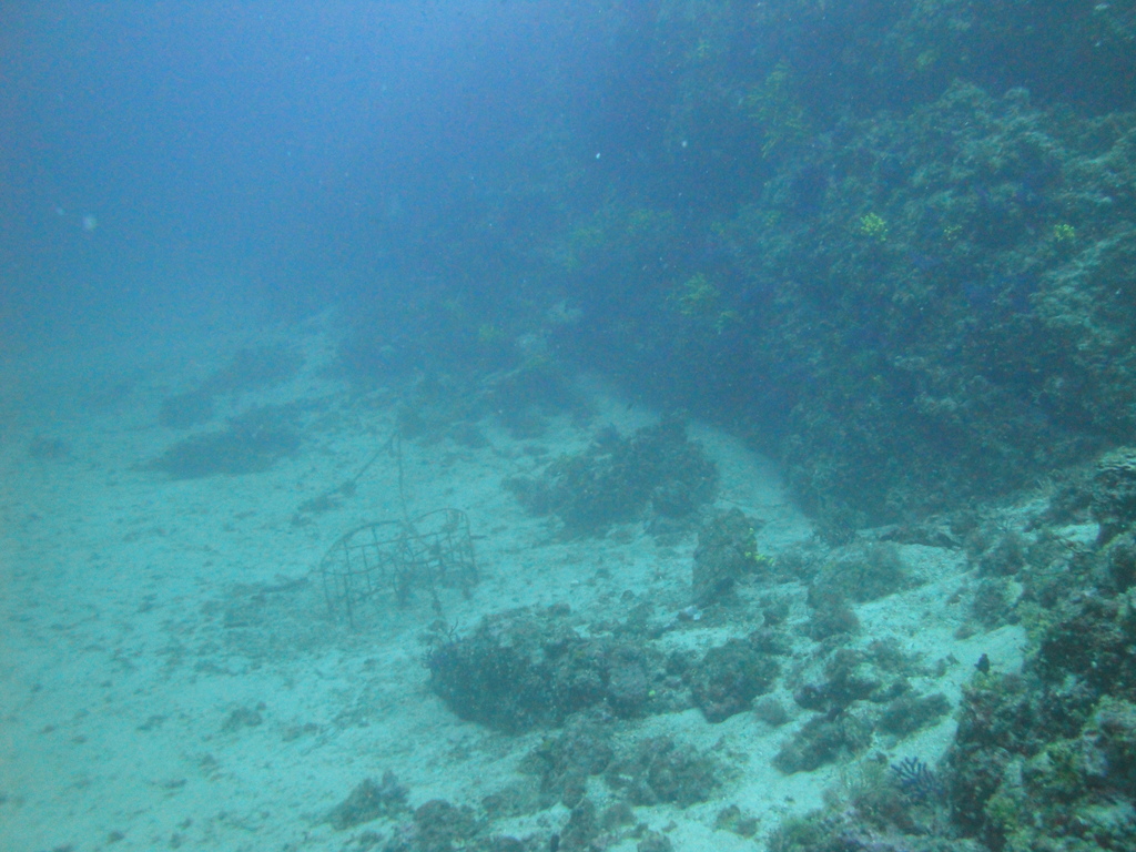 DSC00136.JPG