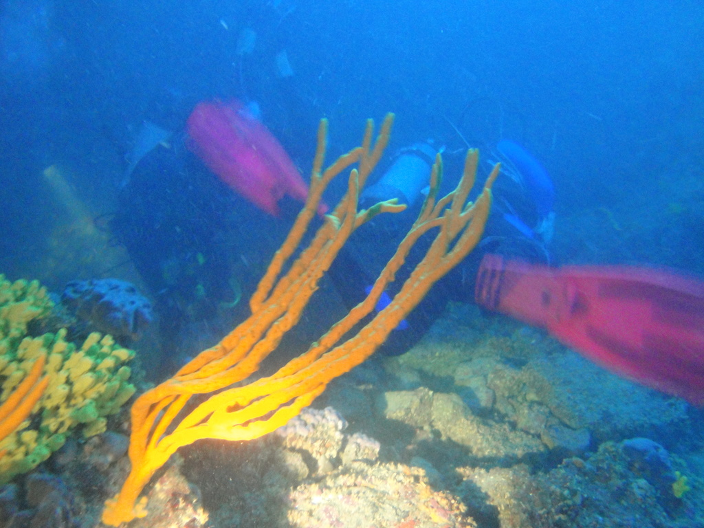 DSC00161.JPG